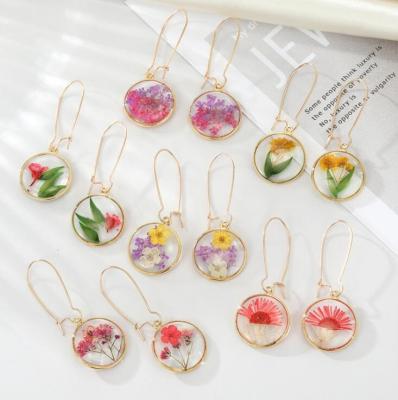 China AS PICTURE Round Drip Glue Colored Dry Flower Earrings Women's Simple Eternal Flower Earrings for sale