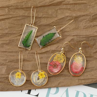 China Ace IMAGE Round Drip Glue Colored Dried Flower Earrings Simple Eternal Flower Earrings Women Leaf Specimen Earrings for sale