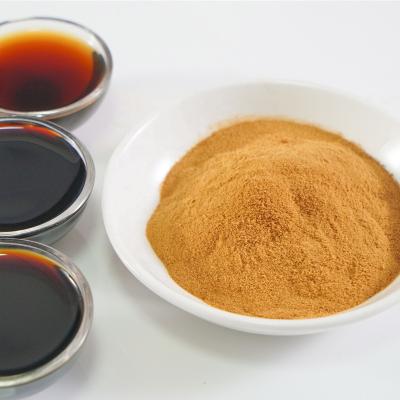 China Food Ingredient PS003H Natural Fermented Soy Sauce Powder For Sauces PS003H for sale