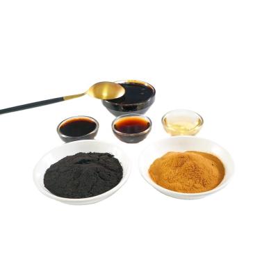 China Manufacturer Sales Food Ingredient PS003H Natural Fermented Soy Sauce Powder For Many Good Sauces Seasoning PS003H for sale