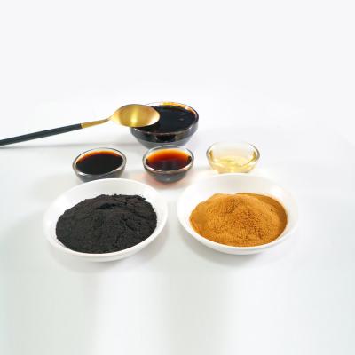 China Wholesale Liquid Soy Sauce And Caramel Color Powder Edible Color for sale