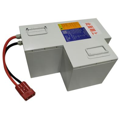 Cina Batteria LiFePO4 50ah del AGV della batteria BMS del fosfato del ferro del litio un ciclo profondo da 48 volt in vendita