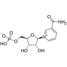 China CAS 1094-61-7 NMN Beta Nicotinamide Mononucleotide Medicine Grade for sale