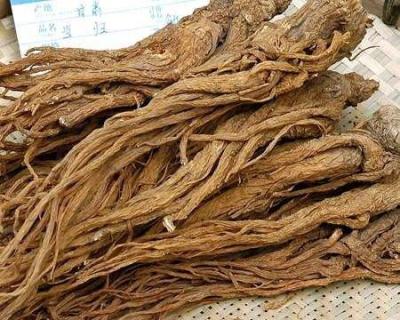 China First Grade Traditional Chinese Medicine / Angelica Sinensis Extract for sale