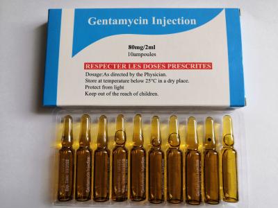 China Powder For Injection GMP Certified Gentamycin Sulfate Injection for sale