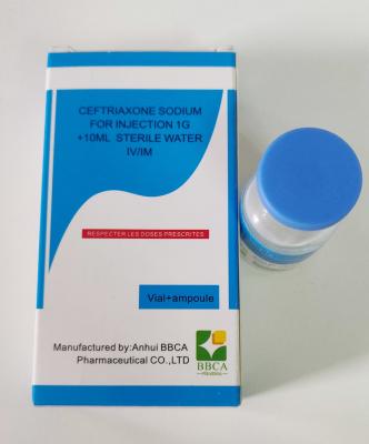 China Ceftriaxone Sodium Powder For Injection Odorless White Crystalline Powder for sale