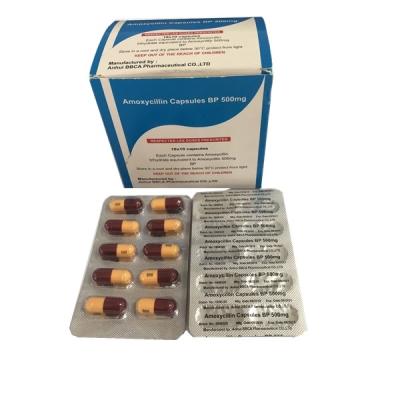 China Amoxicillin Pharmaceutical Capsules For Treating Bacterial Infections for sale