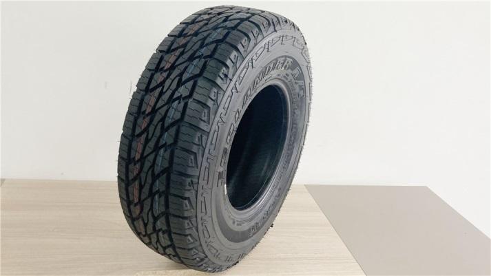 Verified China supplier - Qingdao Wanlong Tire Technology Co., Ltd.