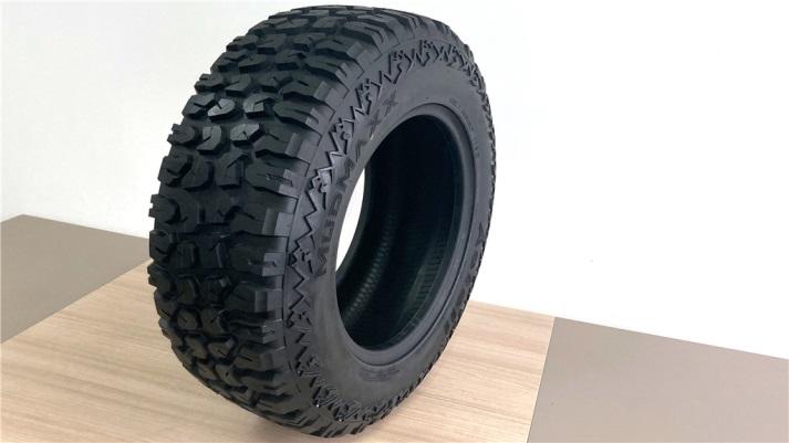 Verified China supplier - Qingdao Wanlong Tire Technology Co., Ltd.