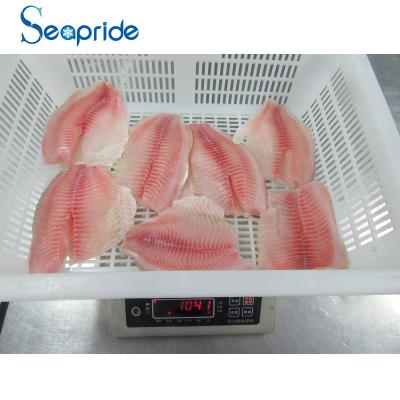 China FROZEN hot sale bluk frozen tilapia fillet on sale for sale