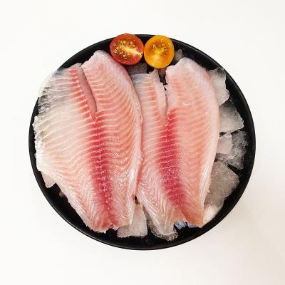 China High Quality FROZEN Tilapia Filet Fish Fillet Fish Supplier for sale