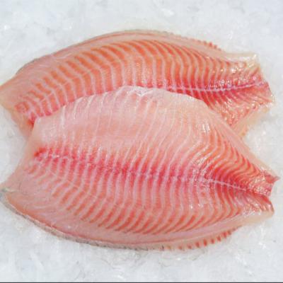 China New FROZEN production Co processed iqf frozen tilapia fillet price cheap for sale