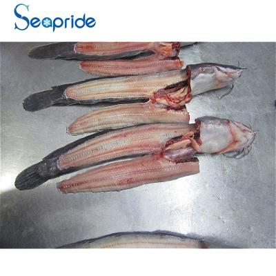 China FROZEN high quality smoked catfish for sale