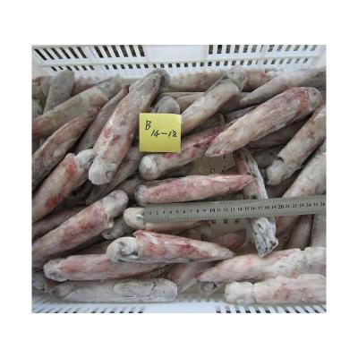 China Illex Nutritious Squid Hook Whole Sea Round On Sale for sale