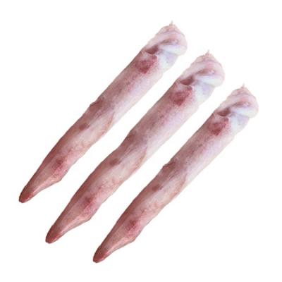 China Illex Suqid Nutritious Frozen Squid Seafood Whole Fish for sale