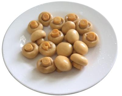 China China High Quality Canned Mushroom Canned Price for sale