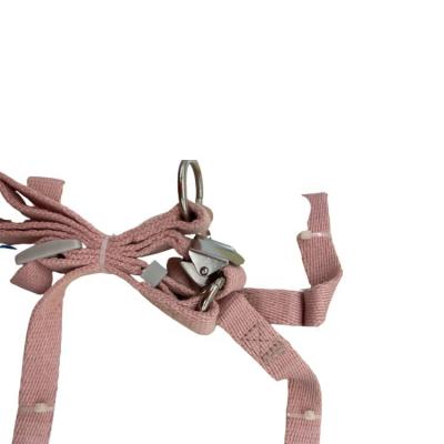 China Padded Outdoor Pet Supplies 2021 ODM OEM Factory Stock Lead Chain Dog Cats Running Dog Leash Pet Chest Strap Harness Strap for sale