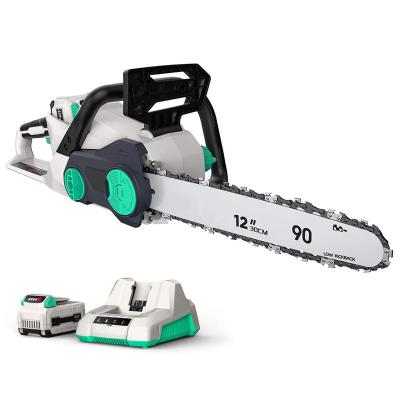 China Farmtech 2-Stroke 12 Inch Battery Operated Cordless Electric Arborist Chainsaw Hand Chain Saw For Trees for sale