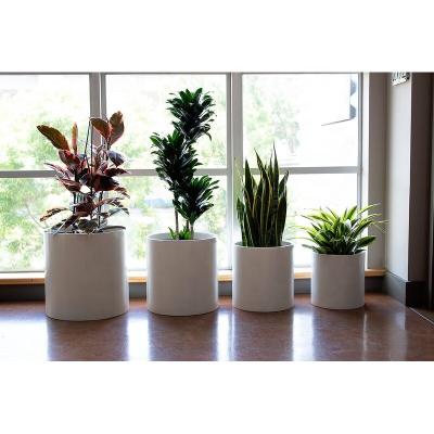 China Hue Wholesale Nordic Style Decorative neutral White&Black Gray Cylinder Fiberglass Pot Planter for sale