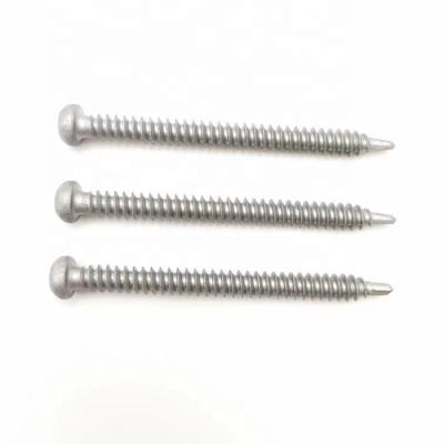 China Ruspet Small Pan Torx High Level Pan Head Paint Self-drilling Main Screw for sale