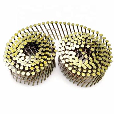 China Pan Hot Sale China Manufacturer Yellow Galvanized Coil Common Coil Nails for sale