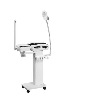 China Ultrasound Multifunction Beauty Machine High Frequency With Vacuum Steamer for sale