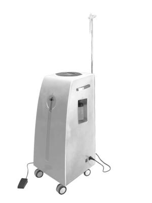 China Pure Mist Therapy Oxygen Facial Machine For Skin Care For Metabolism Absorbing Oxygen for sale