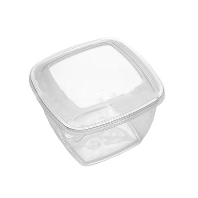 China Disposable Clear Square Pet Salad Containers Eco-Friendly Plastic Fruit Salad Takeout Box for sale