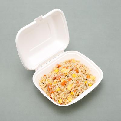 China Recyclable Custom Backed Food Bowl Bagasse Food Packaging Biodegradable Lunch Box for sale