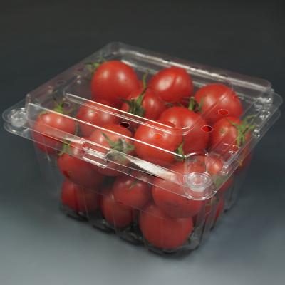 China Disposable Wholesale Transparent Clear Plastic Boxes Food Storage Container Salad Container For Fruit for sale