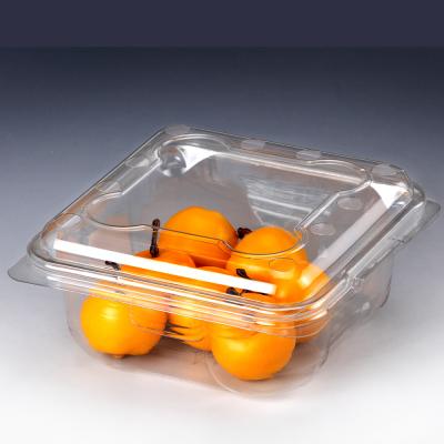 China Durable Hot Sale Pet Fruit Salad Clear Disposable Fruit Bowl Cake Packaging Container With Lid for sale