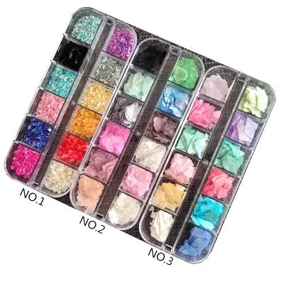 China 12 Colors Finger / Colorful Nail Art Shell Sequin Beauty Shell Crushed Stones Gravel Flakes 3D Box for sale