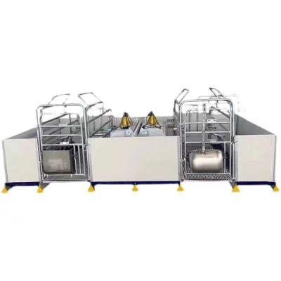 China Low mortality design Pig farming equipment european type sow cage for sale