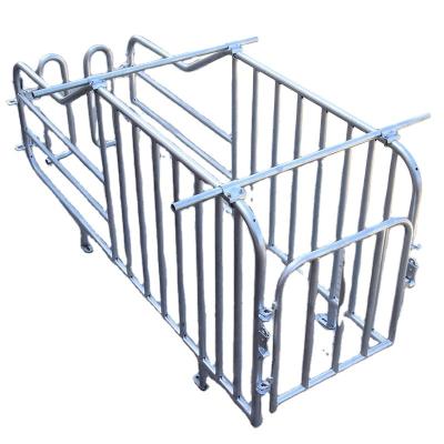 China Top fixing bar Competitive priced piggery gestation crate for galvanized stall for sows for sale