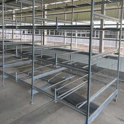 China Layer Chicken high quality automatic aluminum galvanized battery chicken layer cage for poultry farming for sale