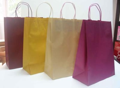 China Color craft paper bag with paper handle for sale