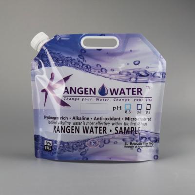 China Good quality Kangen Water bags accept custom made with handle for sale