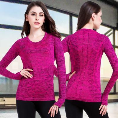 China 5 Colors Sweat-Wicking Quick-Dry Sportswear Fitness Yoga Running Sports Large Size QUICK DRY Long Wear Sleeves T-Shirt For Women for sale