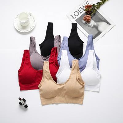 China QUICK DRY adjustment padded bra plus size radio push up seamless bra crop top for women for sale