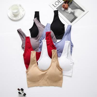 China Seamless QUICK DRY plus size wireless padded bra lift up bra crop top for women for sale