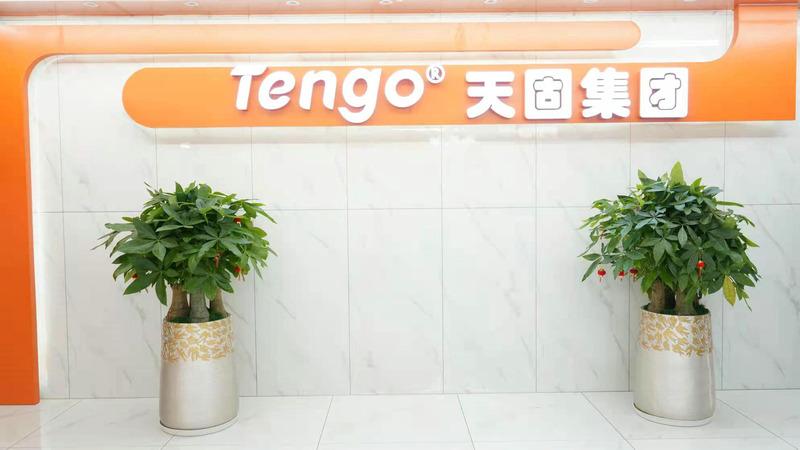 Verified China supplier - Guangzhou Tengo Electronic Technology Co., Ltd.