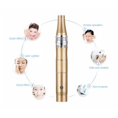 China 2020 Rechargeable Electric Nano Automatic Nano Skin Radio Needle Derma Roller Micro Pen DermaPen for sale