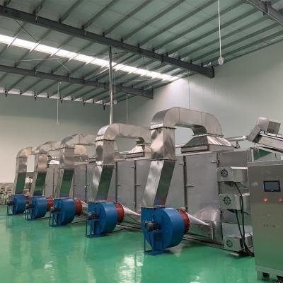 China Drying all kinds of food Indonesia 500 kg/h automatic konjac konjac drying machine konjac konjac drying machine heat pump french fries system for sale