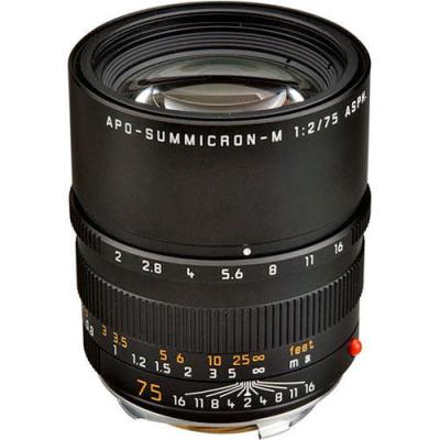 China Leica M Apo-Summicron-M 1:2,0/75 mm ASPH. 11637 NEW with Leica International for sale