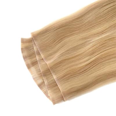 China Remy Hair Dyeable PU Skin Weft /Tape Weft Extension with Highlight Tape in Hair Extensions for sale