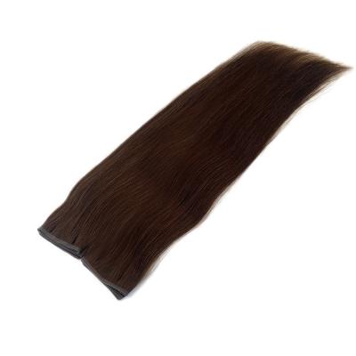 China Muti Color Remy Hair Extensions 100% Peruvian Flat Weft Human Hair with Skin PU Weft for sale