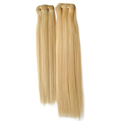 China 100% Remy Hair Virgin Russian Blonde Seamless Weft Hair Extensions No Shedding No Tangle for sale