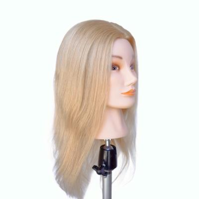 China European Face Real Hair Mannequin Head for Hairdresser Training and Manikin Practice for sale