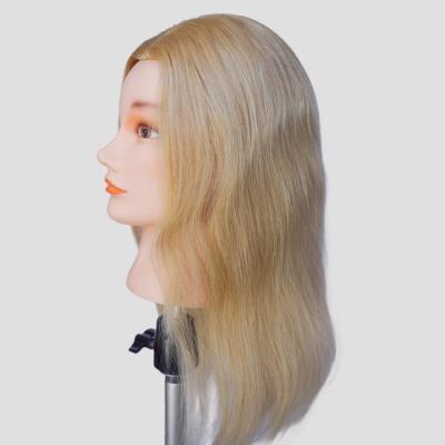 China European Face Practice Mannequin hoofd met achterwaarts gericht haar en menselijk haar Te koop