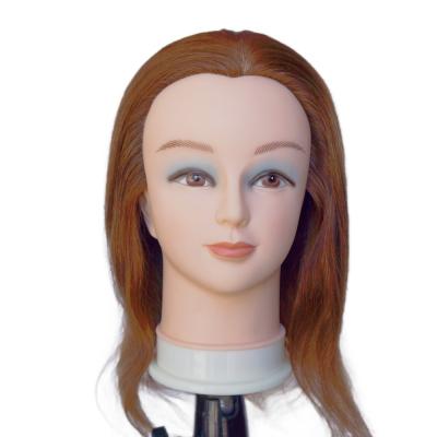 China 100% Human Hair Training Head Mannequin Head for Practise Professional Training Tool for sale